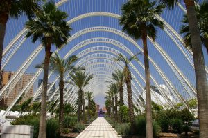 After 2 months in Valencia, Spain, I've compiled the ultimate Valencia travel guide with everything to do in the city. CLICK to start planning your trip!