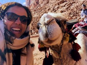 2017 the mid-year check-in passport and plates | https://egypt-visit.biz