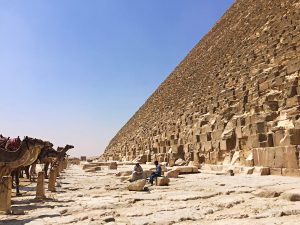 Pyramids of Giza and camels