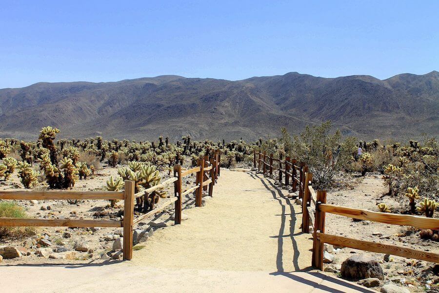Heading to Joshua Tree National Park but don't want to hike the whole time? I've got you! These are the best things to do in Joshua Tree besides hike.