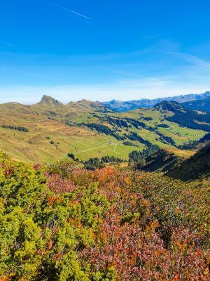 Best things to do in Bregenzerwald in Vorarlberg, Austria.