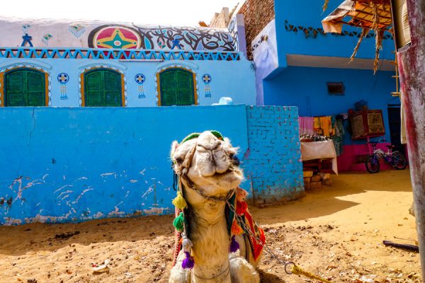 Planning a trip to Egypt? Be sure to add at least 2 days in Aswan to your itinerary! Click to read the best Aswan itinerary from a local!