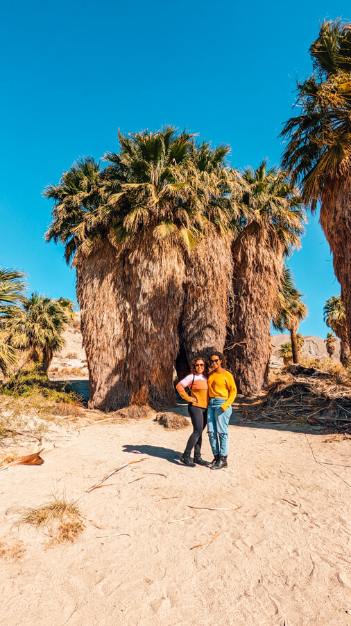 Things to do in Palm Springs